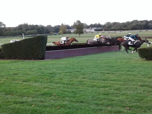 Hippisme : nos préférés pour ce dimanche 17 octobre